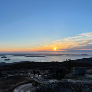 Meet your Posher, Klara